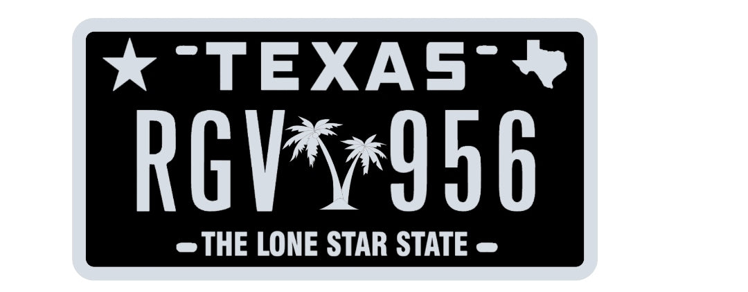 E265: TXLP RGV 956