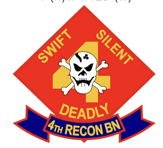 E317 - USMC 4th RECON BN